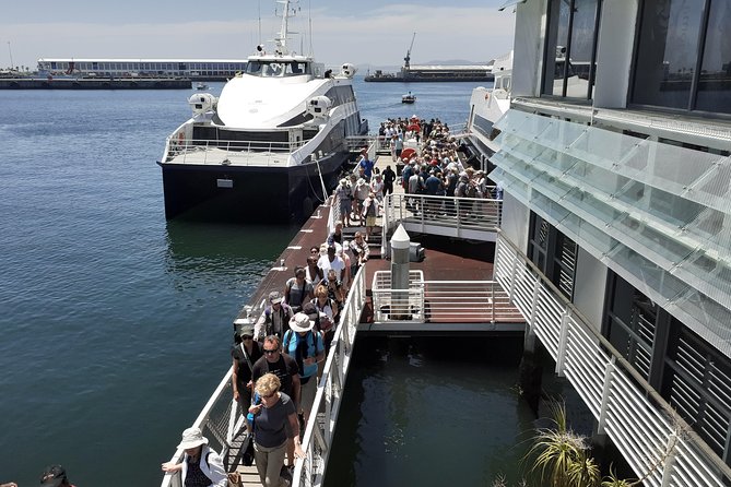 Robben Island and Table Mountain Tour - Why this pairing works in Cape Town