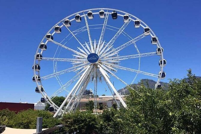 Robben Island Guided Tour & Two Ocean Aquarium with tickets - Who should choose this Cape Town tour?
