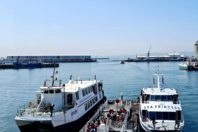 Robben Island heritage site with a half day tour - Who will get the most from this tour