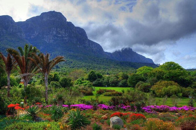 Robben Island ,Kirstenbosch Gardens and Groot Constantia. - Your guide, vehicle, and pace