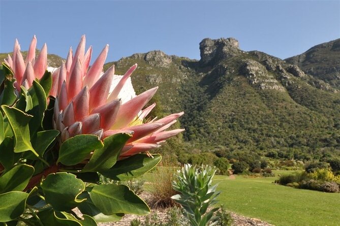 Robben Island ,Kirstenbosch Gardens and Groot Constantia. - Booking advice and cancellation terms
