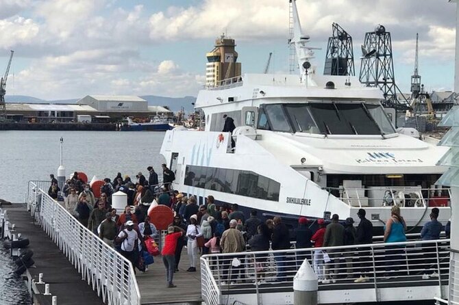 Robben Island Museum Half-Day Tour. Including all tickets. - Returning through the V&A Waterfront