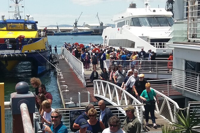 Robben Island Museum Stellenbosch Wineries Plus Ferry Ticket F/D - Why this Cape Town day works