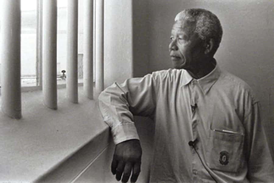 ROBBEN ISLAND MUSEUM TOUR, WITH OPTIONAL LAST MINUTE TICKETS - Key points to know before you book