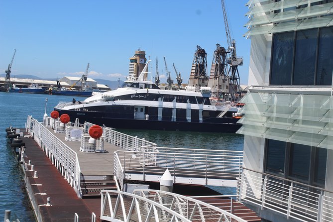 Robben Island Nelson Mandela's Prison Museum + Township Tour incl Ferry Tickets - How the Two Stops Fit Together