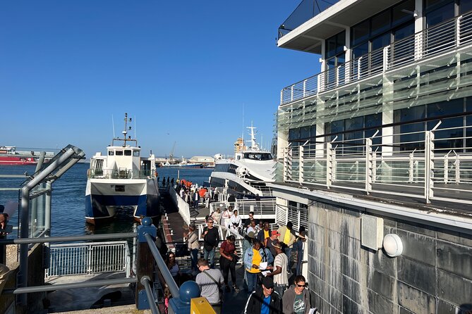 Robben Island Pre-Booked Tickets & Hassle-Free Experience - The bus ride around Robben Island