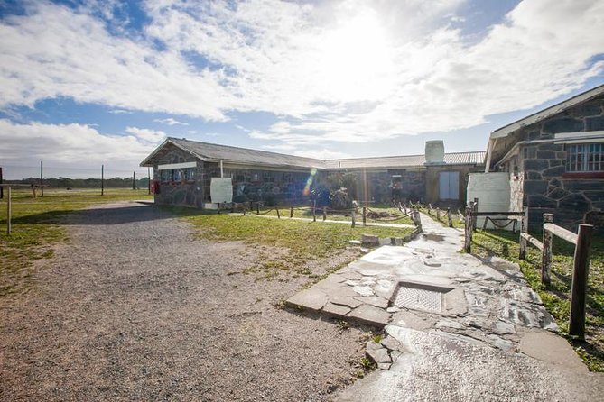 Robben Island & Surprise stops tickets confirm by 8am next day. - Food, timing, and comfort