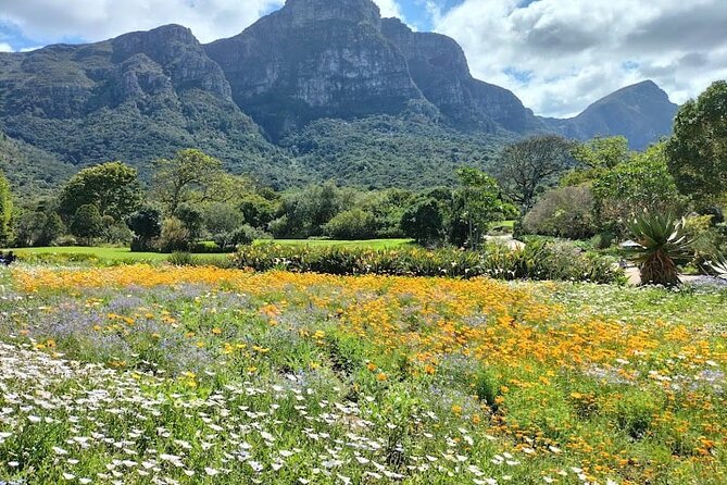 Robben Island, Table Mountain and kirstenbosch from Cape Town - Lunch at the V&A Waterfront