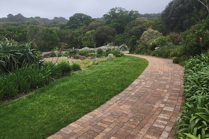 Robben Island Table Mountain and Kirstenbosch Sharing group tour - Hout Bay, Constantia and the drive south