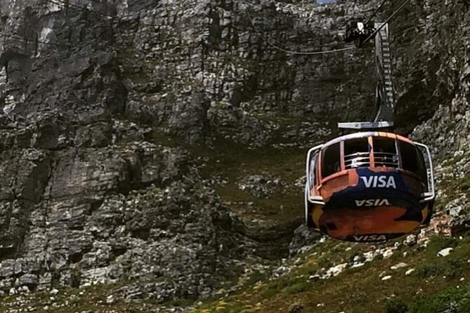 Robben Island Table Mountain and Kirstenbosch Sharing group tour - Kirstenbosch’s Cape flora