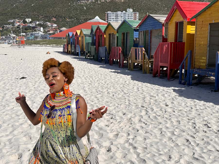 Robben Island Tickets, Penguins, and Private Cape Point Tour - The real cost at $186 per person