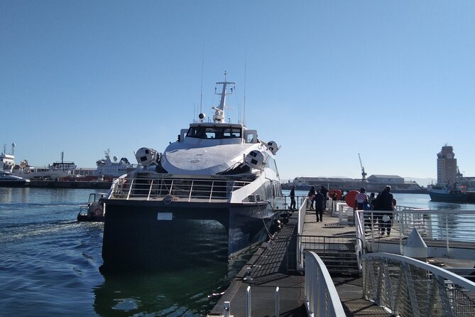 Robben Island Tour including Pick Up & Drop Off from Cape Town - Walking from the ferry to the island buses