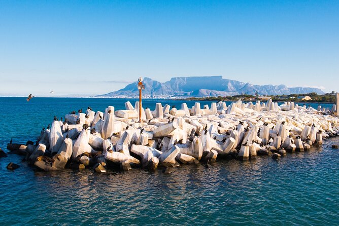 Robben Island Tour; Pickup, Drop-off; Guided Tour Historic Prison - Key points to know before you book