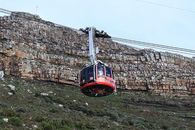 Robben Island Tour & Table Mountain guided Tour - Timing, group size, and the shape of the day