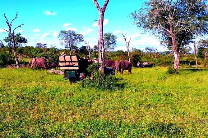 Sabi Sand Sunset Safari - Who will enjoy this safari most?