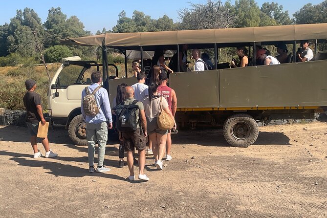 SAFARI Aquila Game Reserve - Round trip + Lunch incl. (Cape Town) - Who will enjoy this safari most?