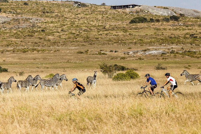Safari Cycle and !Khwa ttu San Heritage Experience - Why this Cape Town day trip feels different
