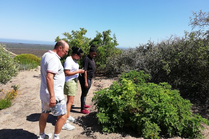 Safari Cycle and !Khwa ttu San Heritage Experience - Five hours at !Khwa ttu San Heritage Centre