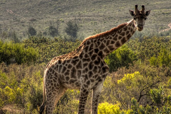 Safari Cycle and !Khwa ttu San Heritage Experience - What the private format means for you