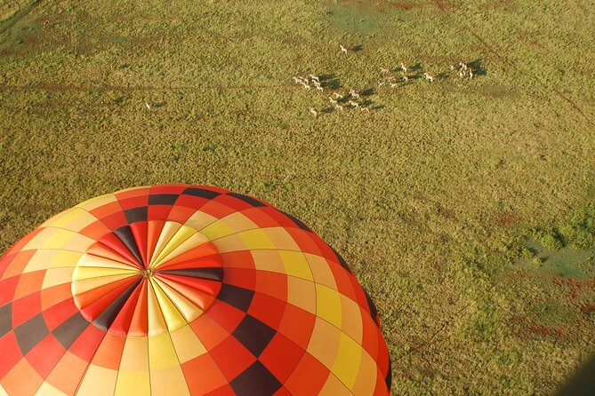 Safari Flight - One quiet hour above the Cradle of Humankind