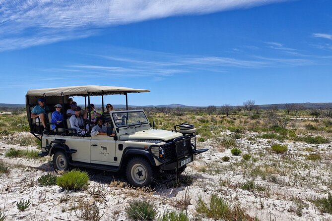 Safari Game Drive - Yzerfontein - Why this West Coast safari is different from Kruger