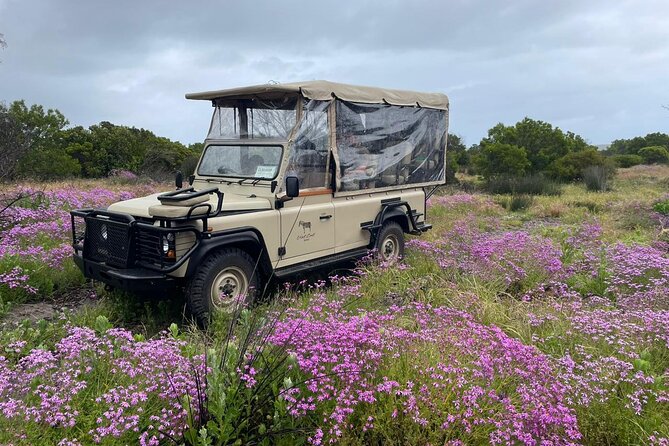 Safari Game Drive - Yzerfontein - Guide Andre and the human story of the West Coast