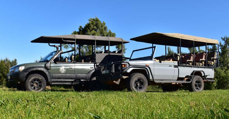 Safari into Schotia Half Day Tour - Starting the drive in an open vehicle