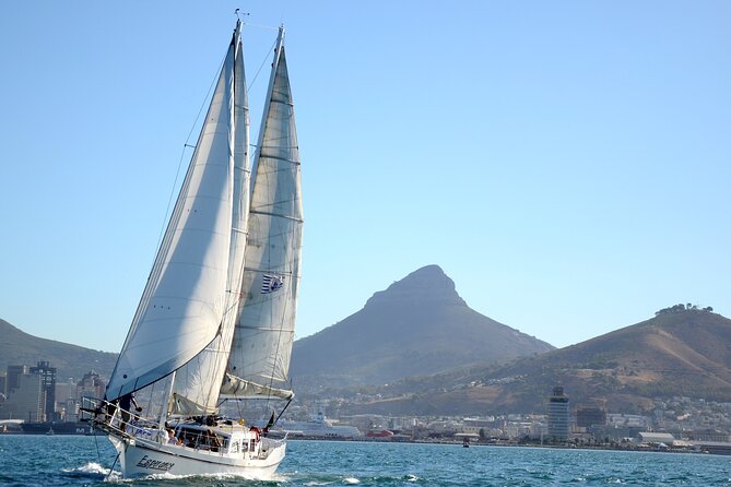 Sailing in Table Bay Cape Town aboard a Classic Schooner - Watching for seals, dolphins, and whales