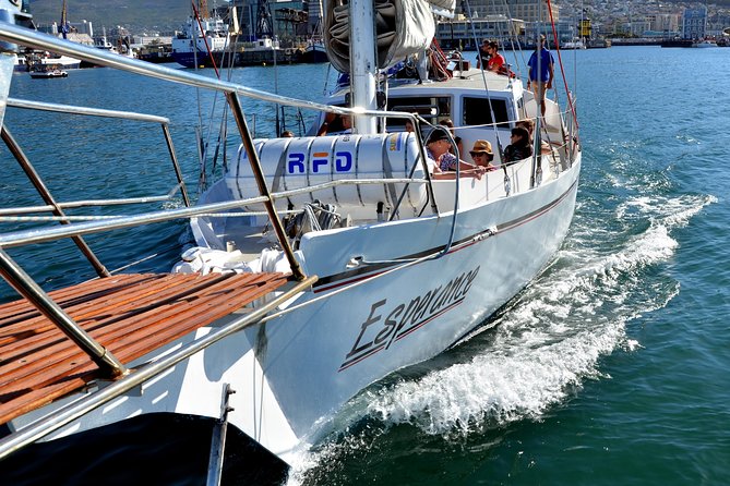 Sailing in The Bay by Catamaran (One Hour) - Table Mountain from the water
