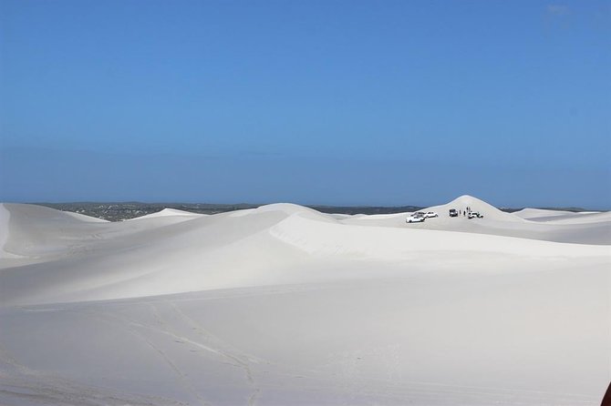 Sandboarding and Quad Biking Combo from Cape Town - Is the $126.44 price good value?