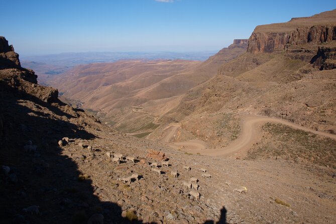 Sani Pass Tour into Lesotho from Underberg and Himeville - What the $62.98 price really covers