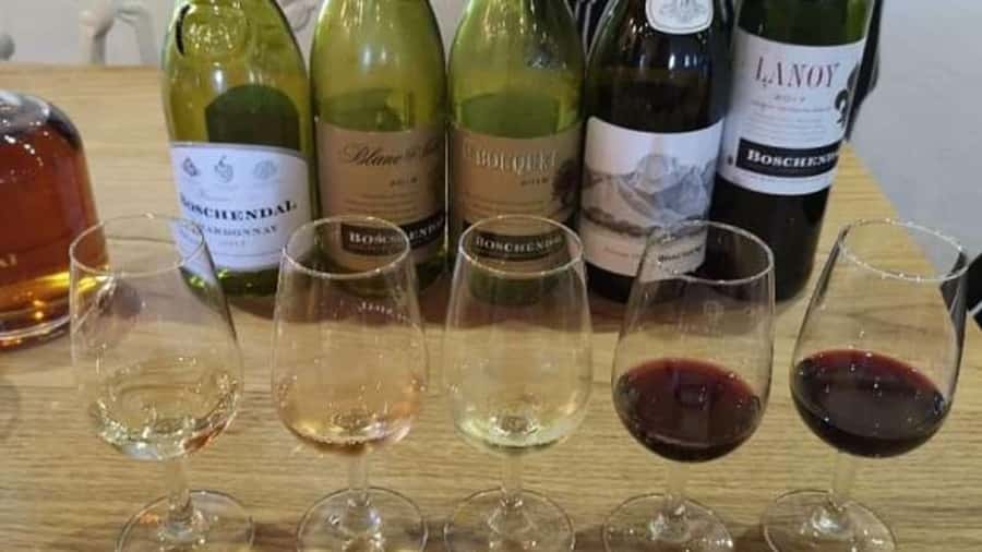 SCHEDULED FRANSCHHOEK WINE TRAM EXPERIENCE (by group size) - Should You Book The Franschhoek Wine Tram Experience?