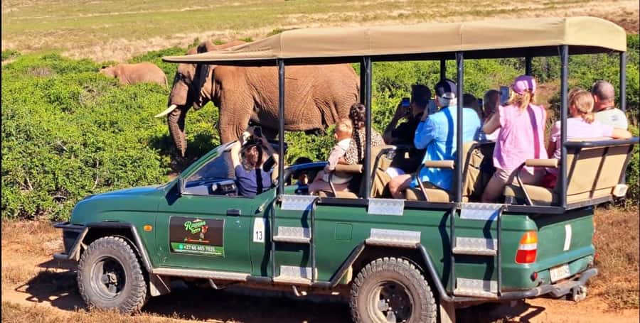 Schotia Safaris: Best Wildlife Encounters in Port Elizabeth - What four hours in Schotia Private Game Reserve feels like