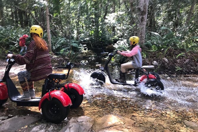 Scooter Tours through Tsitsikamma National Park - Getting comfortable before the forest ride