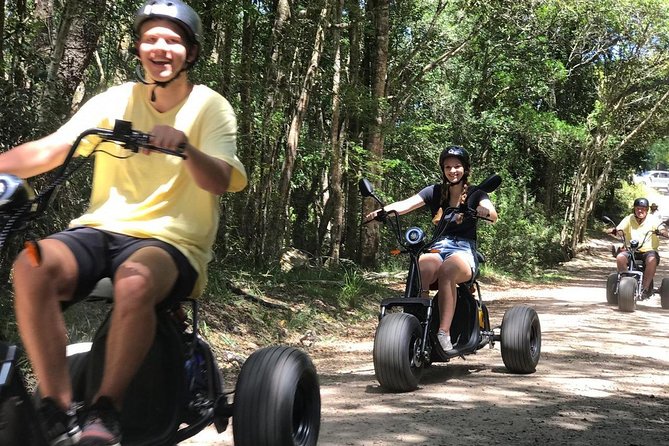 Scooter Tours through Tsitsikamma National Park - Entering the Yellowwood forest