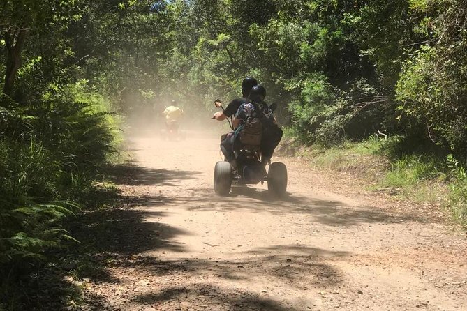 Scooter Tours through Tsitsikamma National Park - Wildlife watching without safari promises