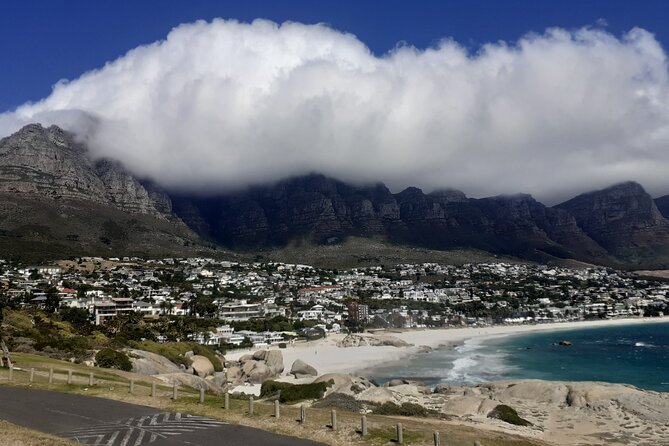 Seal Island,Cape of Good Hope&Penguins Shared Tour,From Cape Town - Chapman’s Peak Drive is a highlight even from the vehicle