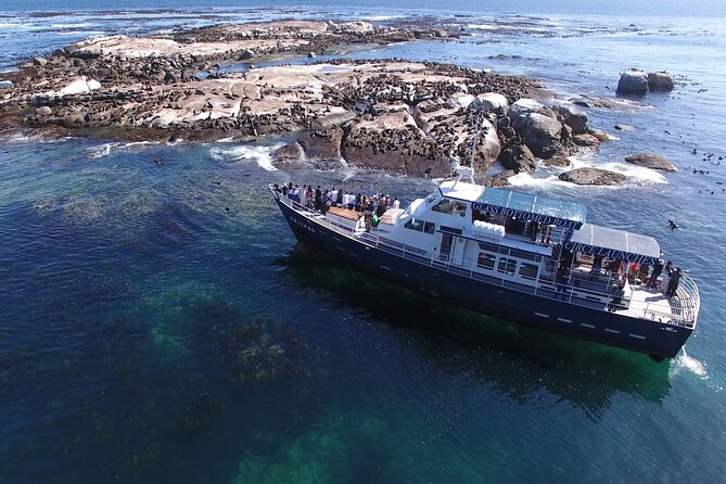 Seal Island,Cape of Good Hope&Penguins Shared Tour,From Cape Town - Noordhoek offers coffee and a pause