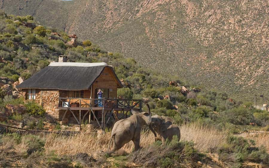 Self drive Aquila Safari Reserve Early Morning Game Drive - The reserve as a first safari experience