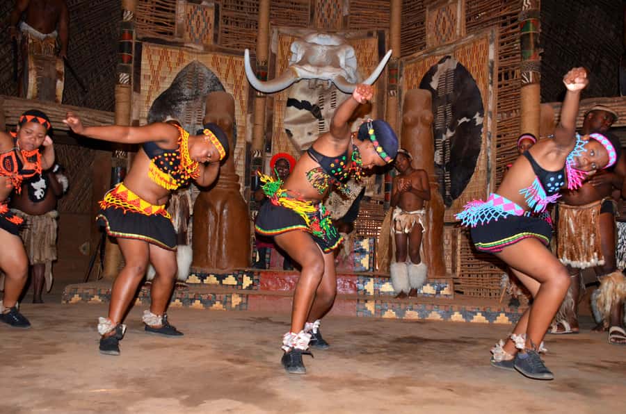 Shakaland and Zulu Culture Full-Day Trip - Dlinza Forest’s raised boardwalks and duiker