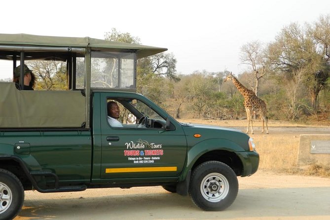 Shared Full Day Guided Safari Tour Visit to Kruger National Park - Why this Kruger day trip works well from Hazyview