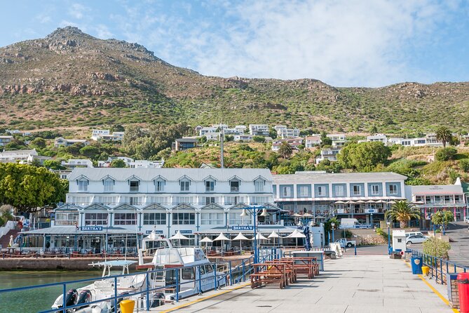 Shared Half Day Tour in Cape Peninsula with African Penguins - Boulders Beach and the African penguin colony