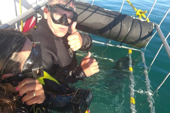 Shark Cage Diving - Getting into the cage without a scuba qualification