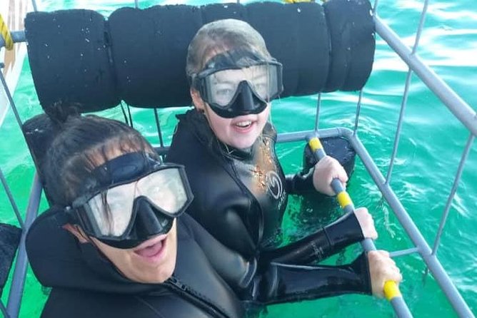 Shark Cage Diving - Who will enjoy this shark encounter most