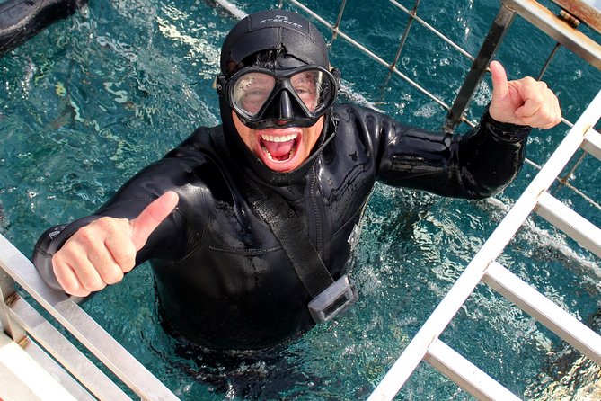 Shark Cage Diving and Viewing with transport from Cape Town - The early road to Gansbaai