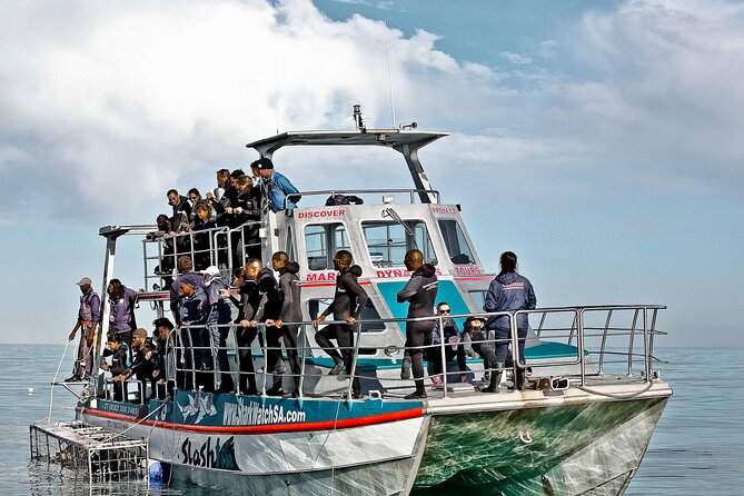 Shark Cage Diving and Viewing with transport from Cape Town - Sea conditions, cold water, and seasickness
