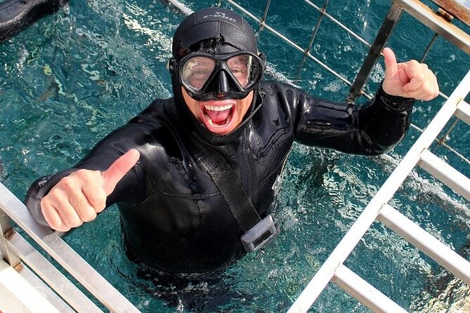 Shark Cage Diving and Viewing with transport from Hermanus - The Cage Session Beside Wild Sharks