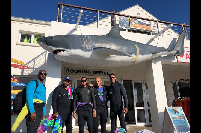 Shark Diving - Wetsuits, meals, and what is included