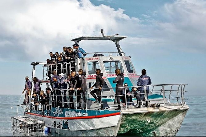 Shark Diving Full Day Guided Return Transfer to Gansbaai from Cape Town - Preparing for the shark cage experience in Gansbaai