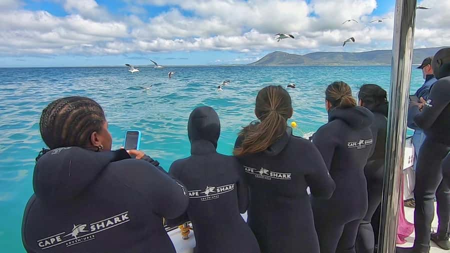 Shark & Whale Trip Combo - The midday break: food, hot water, and a chance to warm up